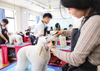 China advances to a more welcoming company for pets