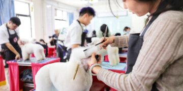 China advances to a more welcoming company for pets