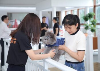 China facilitates quarantine for domestic animals taken abroad