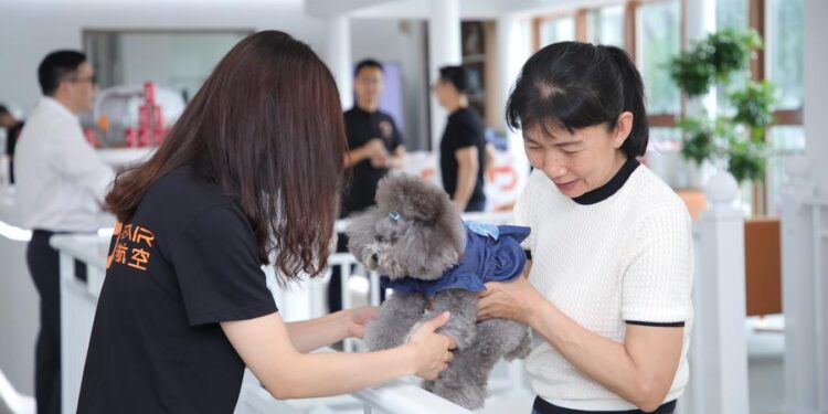China facilitates quarantine for domestic animals taken abroad
