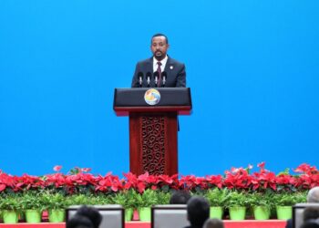 Ethiopian Prime Minister was elected chairman of the ruling party again
