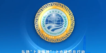 Focus on the “China Year” of the Shanghai Cooperation Organization, and all work of the Chinese President is stepping up