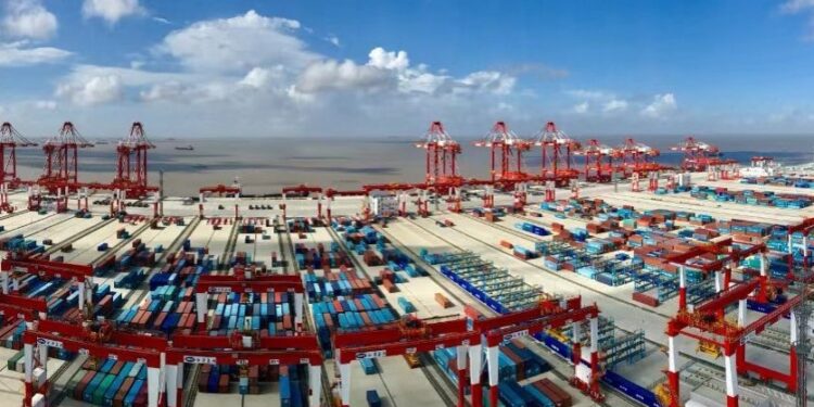Foreign trade enterprises start “busy mode” and foreign trade imports and exports are booming – China Daily Network