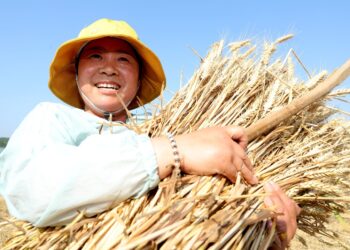 [Interpretation of the Central Document No. 1]Further deepen rural reform and play a new melody for the comprehensive revitalization of rural areas