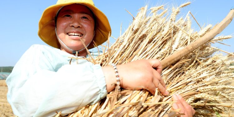 [Interpretation of the Central Document No. 1]Further deepen rural reform and play a new melody for the comprehensive revitalization of rural areas