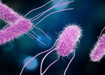 Listeria infection has reported 12 deaths in many states in the United States