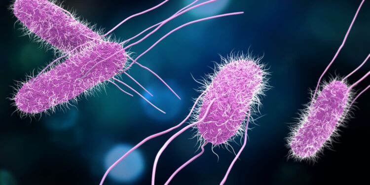Listeria infection has reported 12 deaths in many states in the United States
