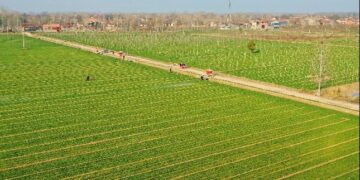 Make every effort to supply spring farming supplies