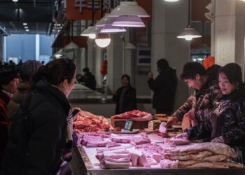 Ministry of Foreign Affairs: China’s prosperous consumer market reflects the increased confidence of all sectors in China’s economic development