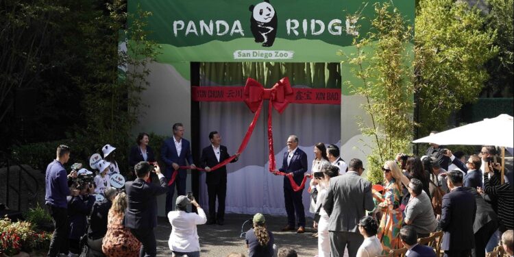 San Diego Zoo in the United States Spring Festival “transforms”: full of years to welcome the festival