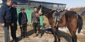 Shirengou herders donate horses to “chasing the wind” and give “white dragon horses” to save people and convey great love