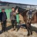 Shirengou herders donate horses to “chasing the wind” and give “white dragon horses” to save people and convey great love