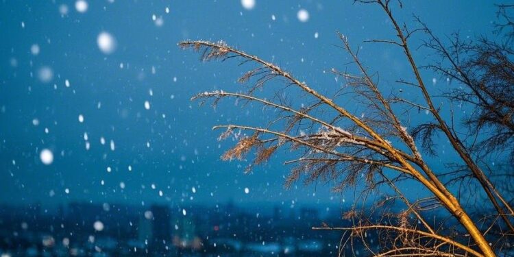 The cold wave goes south to the south of the Yangtze River to welcome the coldest day this winter, and there is still rain and snow in Yunnan, Guizhou, Sichuan and other places.