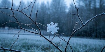 The cold wave is coming and experts remind you to pay attention to the wind-cold effect – China Daily Network