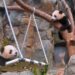 The first pair of “Hong Kong-produced” giant pandas held its debut ceremony