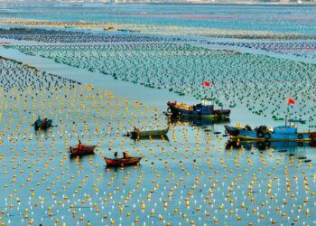 The word daily | marine economy