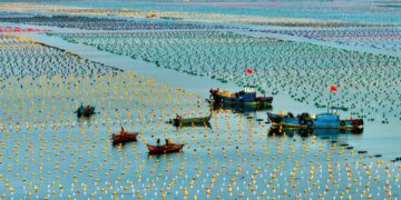 The word daily | marine economy