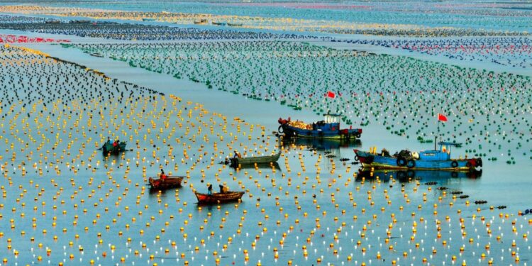 The word daily | marine economy