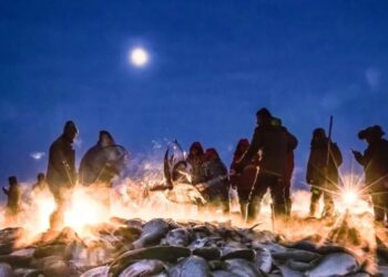 This winter, Ice and Snow Travel play new tricks