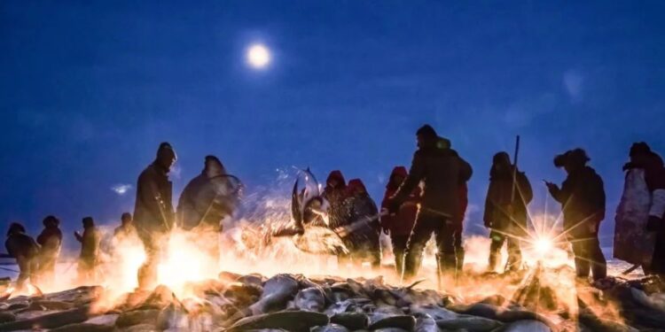 This winter, Ice and Snow Travel play new tricks