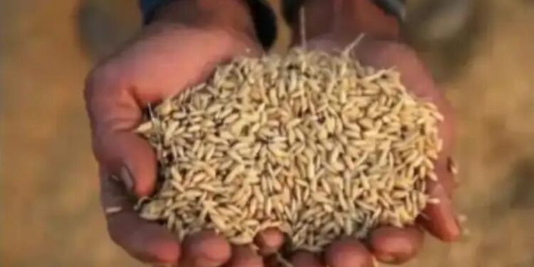 Towards sustainable food security