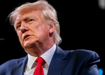 Trump considers incorporating the U.S. Postal Service into the Department of Commerce