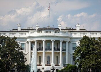 U.S. officials: Trump administration recommends Ukraine grants 50% of U.S. rare earth mine ownership