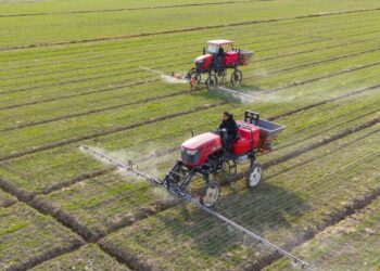 Words of the Daily | Central Document No. 1 central document