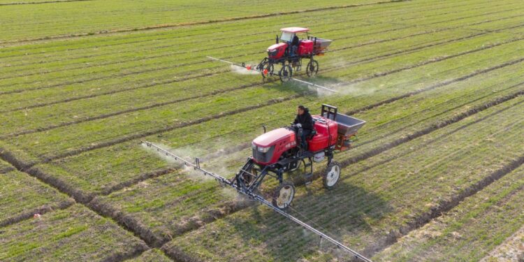 Words of the Daily | Central Document No. 1 central document