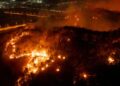 19 people have died in large wildfires in southeast South Korea