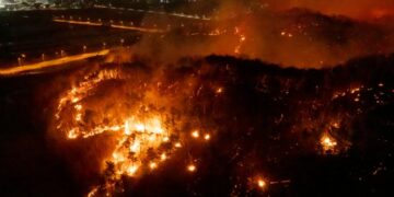 19 people have died in large wildfires in southeast South Korea