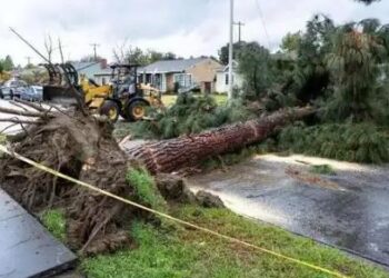 At least 16 people have died in severe weather such as tornadoes in many places in the United States