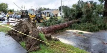 At least 16 people have died in severe weather such as tornadoes in many places in the United States