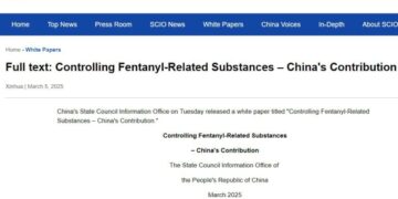China publishes a white paper on fentanyl substances