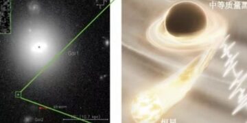 Chinese scientists detect the “heartbeat” of a medium-mass black hole swallowing stars for the first time