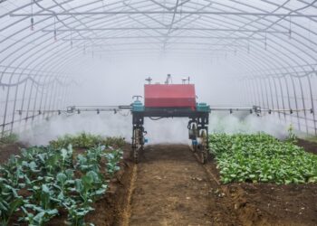 Daily Word | “Artificial Intelligence +” Action AI Plus initiative