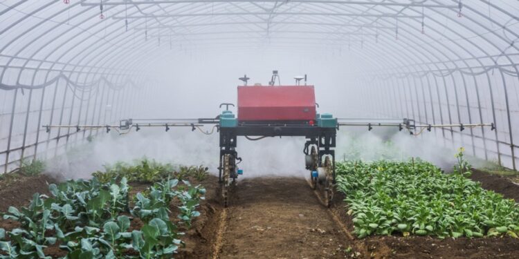 Daily Word | “Artificial Intelligence +” Action AI Plus initiative