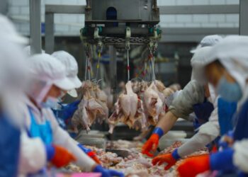 Daily word | Food safety supervision across the entire supply chain