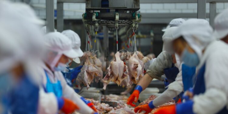 Daily word | Food safety supervision across the entire supply chain