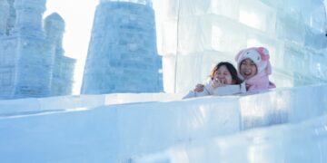 Daily word | Statistical monitoring system for the ice and snow economy