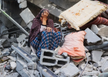 Foreign media: Israeli officials revealed that Trump “great light” for Israel to resume military operations in the Gaza Strip