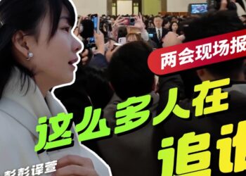 How many steps can be found in one click?