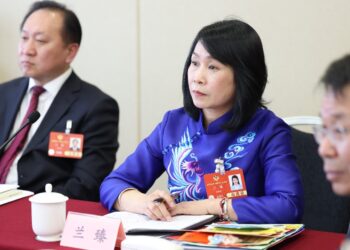 Lan Zhen, a member of the National Committee of the Chinese People’s Political Consultative Conference: I have the responsibility to bring my child’s voice to the two sessions