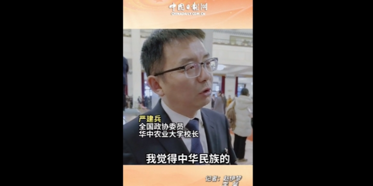 Member Yan Jianbing: Science and technology to ensure food security, we must take the path of innovation and self-confidence