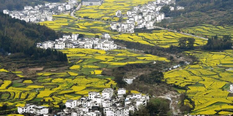 Rural revitalization makes up a symphony of ecology and culture in an eastern district of China