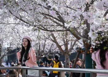 Spring flowers and spring vegetables are urging the “spring economy”
