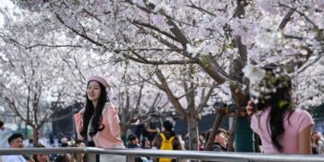 Spring flowers and spring vegetables are urging the “spring economy”