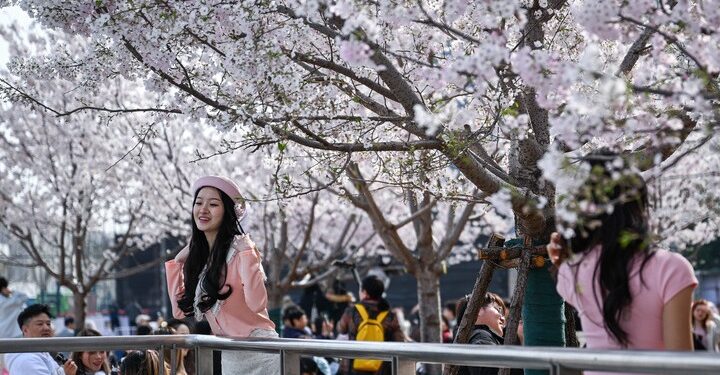 Spring flowers and spring vegetables are urging the “spring economy”