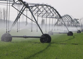 Spring tides are surging and painting the “breeding” scene