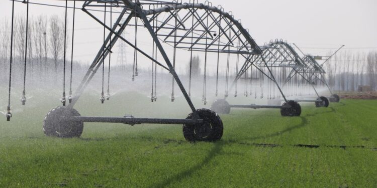 Spring tides are surging and painting the “breeding” scene